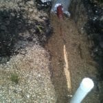 Sewer Repair At Foundation